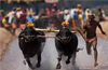 ’Kambala’ - a painting exhibition at Udupi on December 7